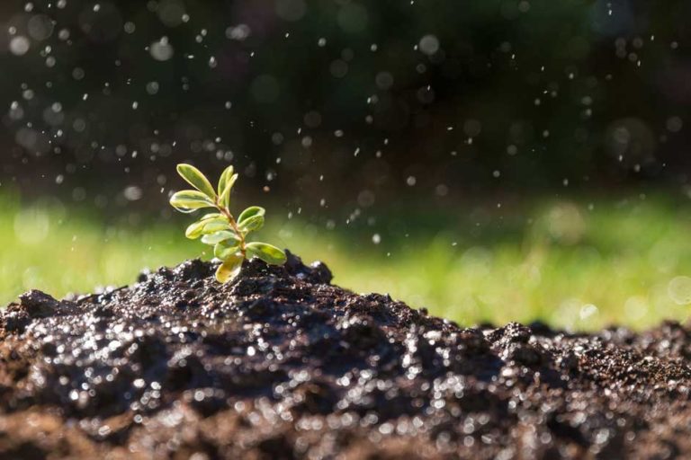 Pulizia delle fognature: l'importanza della manutenzione - Provenza Spurghi