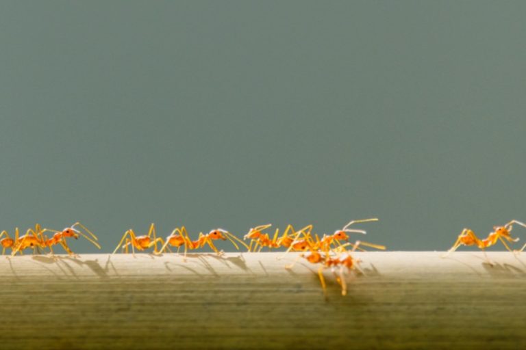 Pulizia delle fognature: l'importanza della manutenzione - Provenza Spurghi